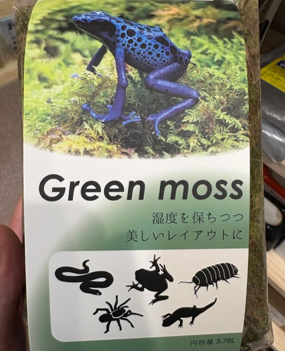 画像1001