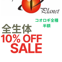 画像1016