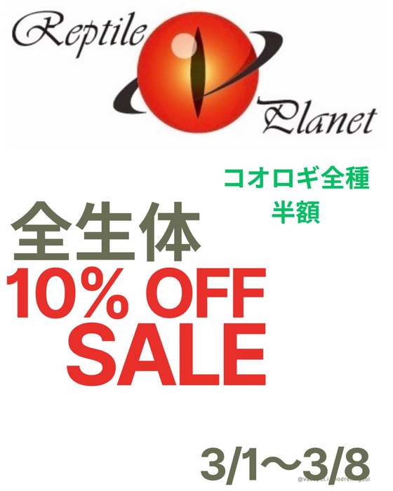 画像1016