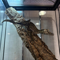 画像1033