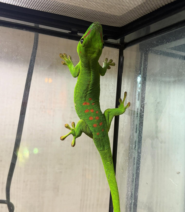 画像1043