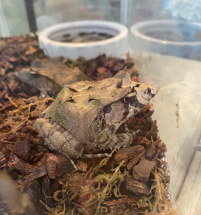 画像282