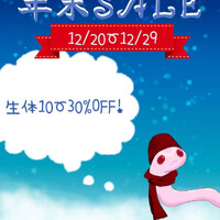 画像299