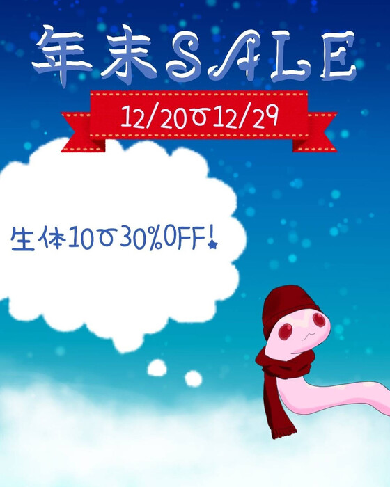 画像299