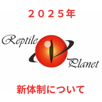 画像331