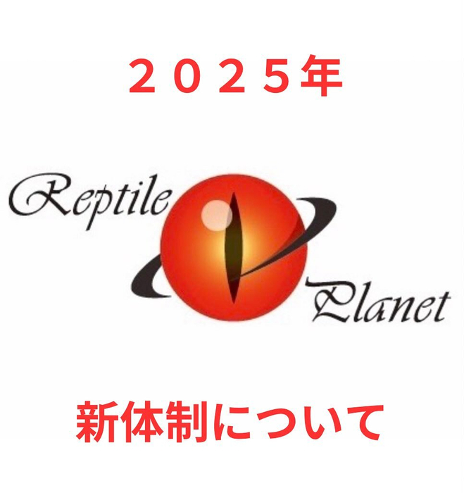 画像331