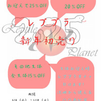 画像334