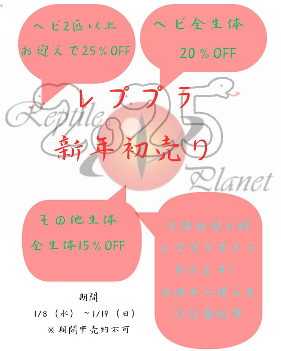 画像334