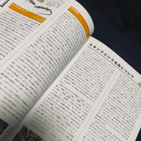 画像388