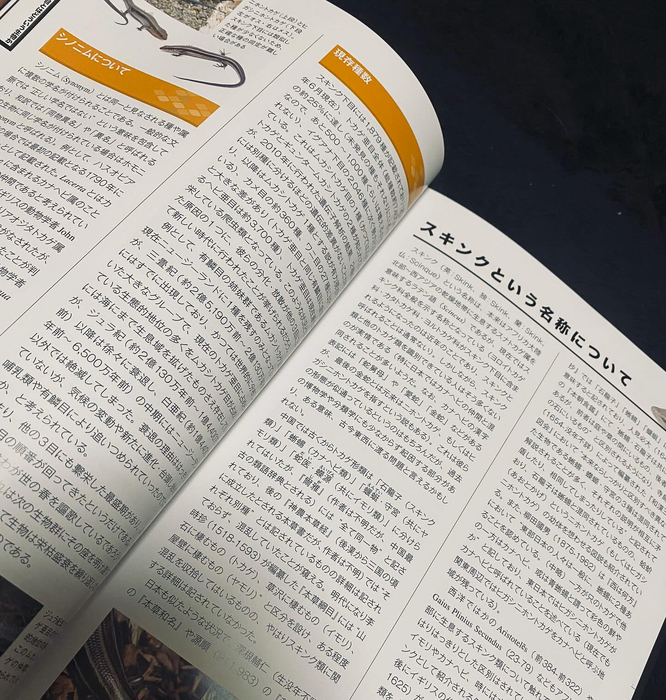 画像388
