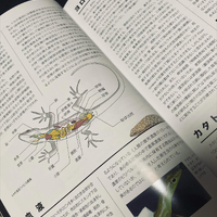 画像389