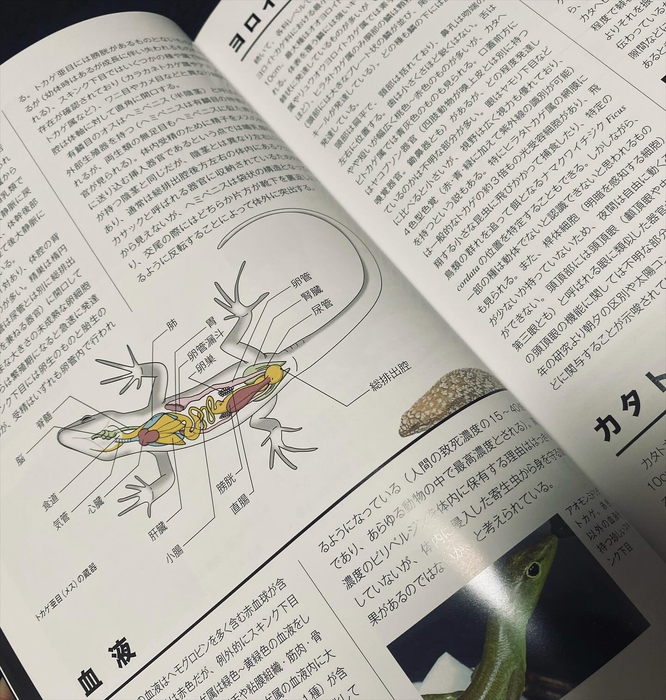 画像389