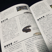 画像390