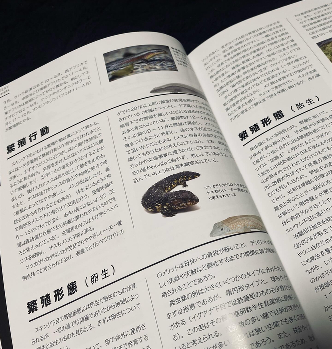 画像390