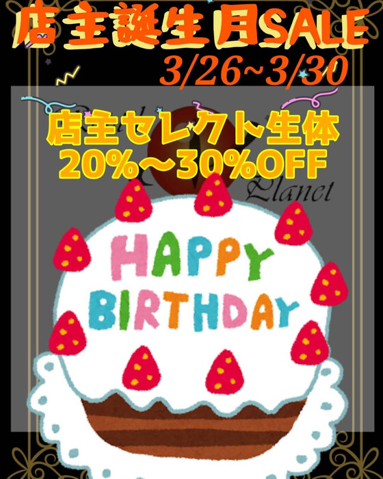 画像493