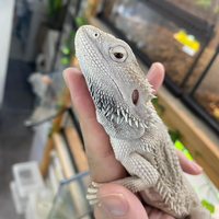 画像576