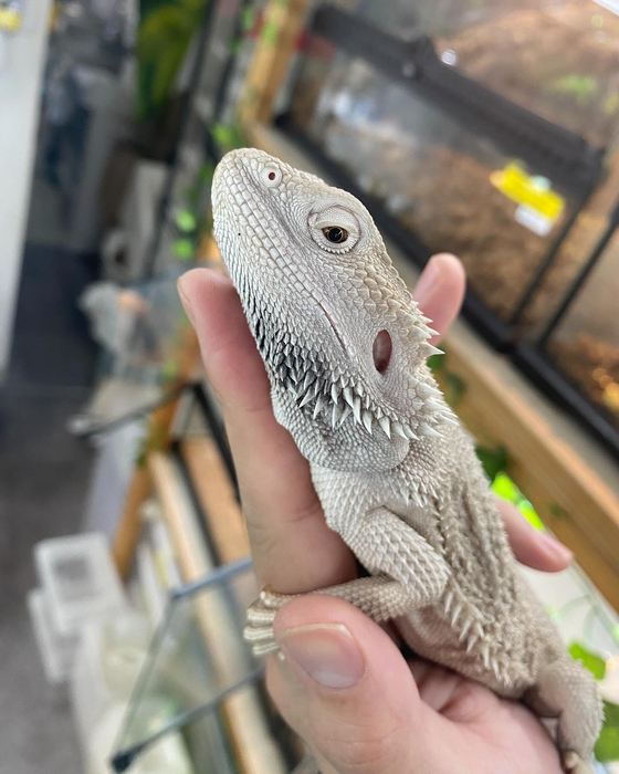 画像576