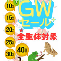 画像599