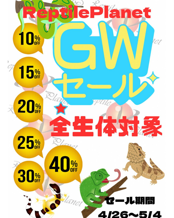 画像599