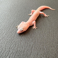 画像712