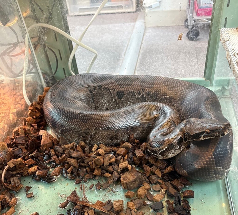 画像744