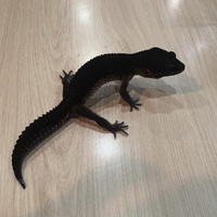 画像947