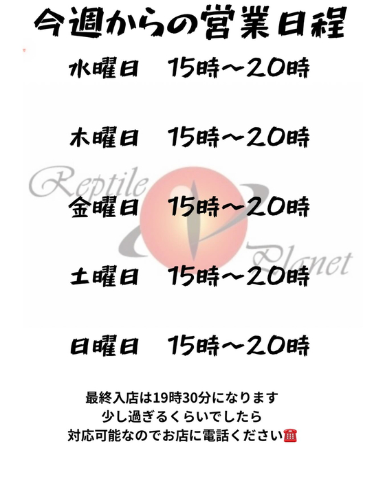 画像988